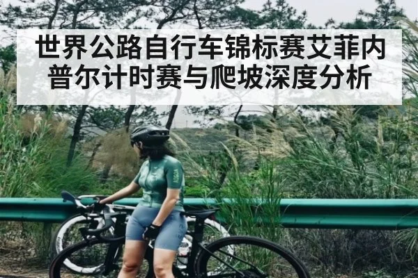 世界公路自行车锦标赛艾菲内普尔计时赛与爬坡深度分析